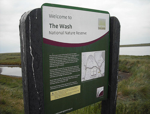 Wash Run